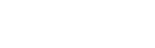 Norfolk Forwarding Services White Logo