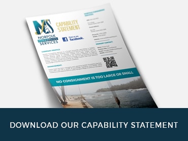 download capability statement